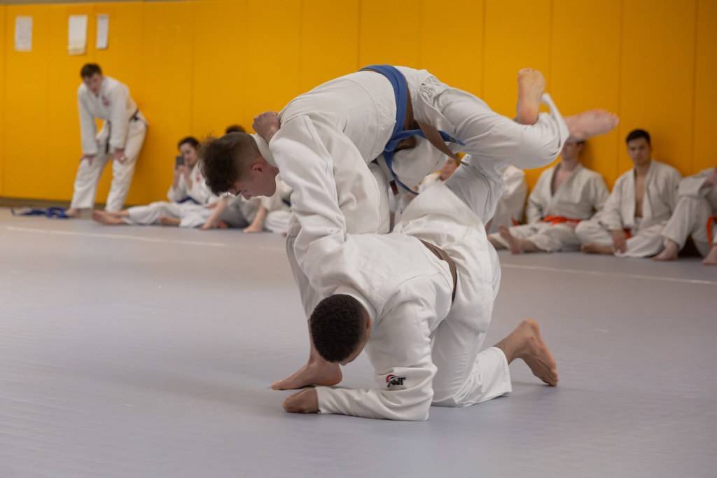 jiu jitsu vs judo