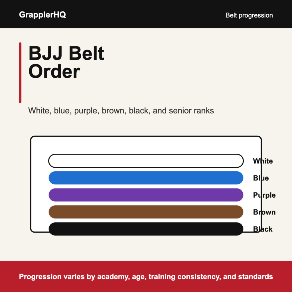 BJJ belt order graphic showing white blue purple brown and black belts