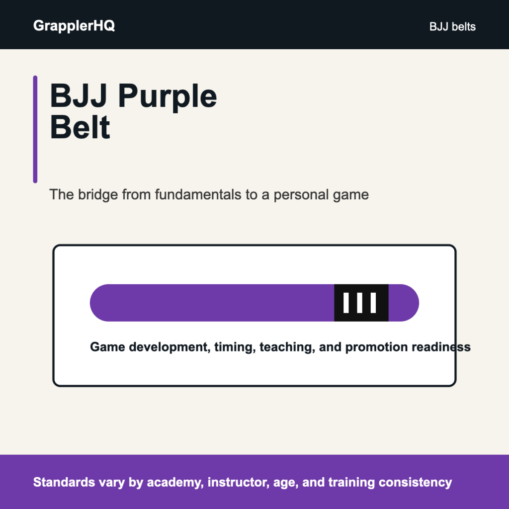 BJJ purple belt guide graphic showing a purple Brazilian Jiu-Jitsu belt